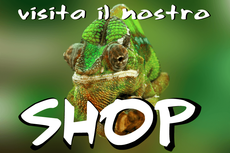 Shop