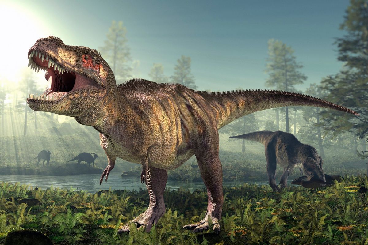 Le scoperte più recenti sui dinosauri: come si collegano ai rettili moderni