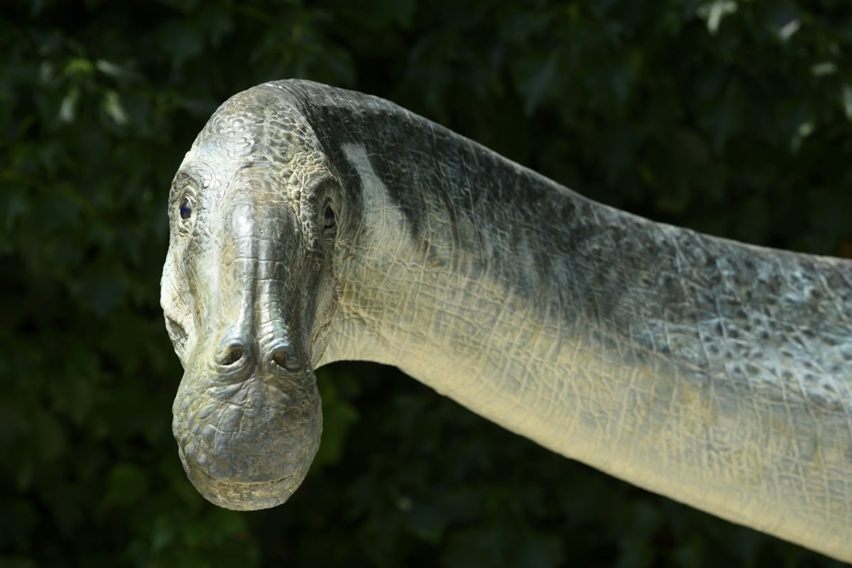 I dinosauri erano rettili? Scopri perché la risposta ti sorprenderà